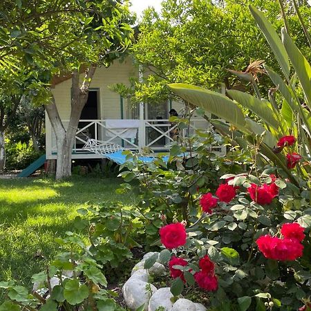 Bellerofon Beach Otel Çıralı Eksteriør billede
