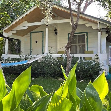 Bellerofon Beach Otel Çıralı Eksteriør billede