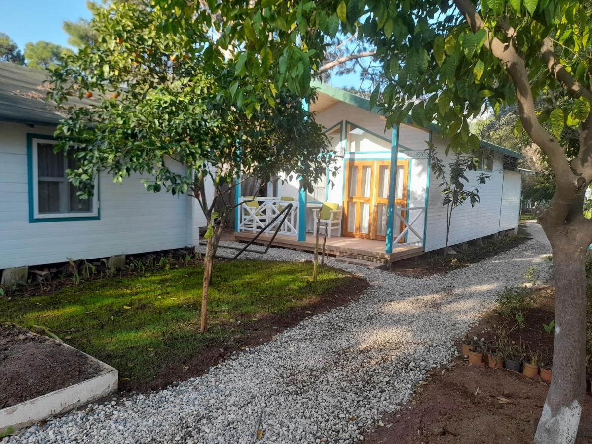 Bellerofon Beach Otel Çıralı Eksteriør billede