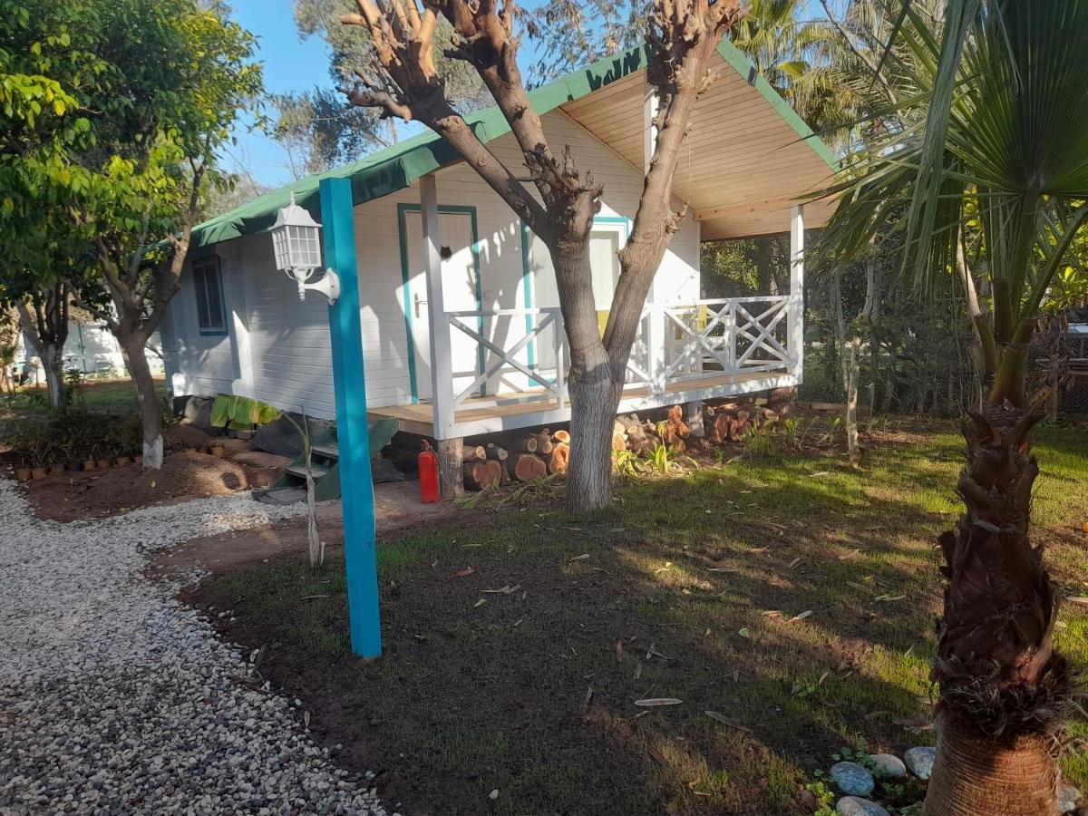 Bellerofon Beach Otel Çıralı Eksteriør billede