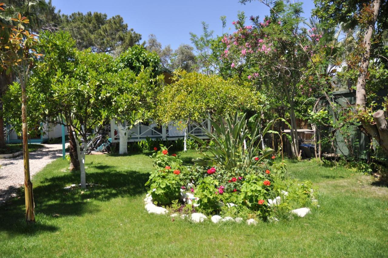 Bellerofon Beach Otel Çıralı Eksteriør billede