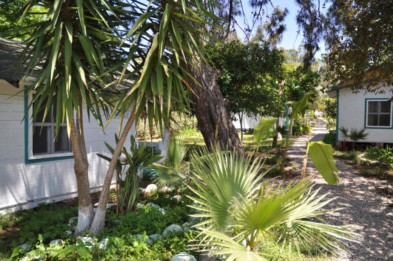 Bellerofon Beach Otel Çıralı Eksteriør billede