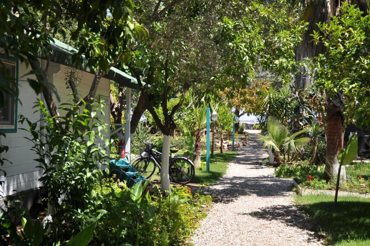 Bellerofon Beach Otel Çıralı Eksteriør billede