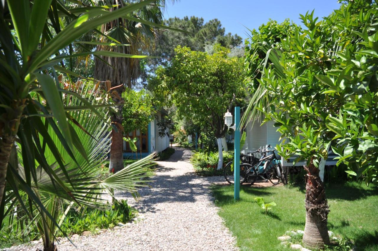 Bellerofon Beach Otel Çıralı Eksteriør billede