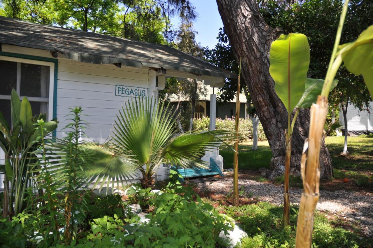 Bellerofon Beach Otel Çıralı Eksteriør billede