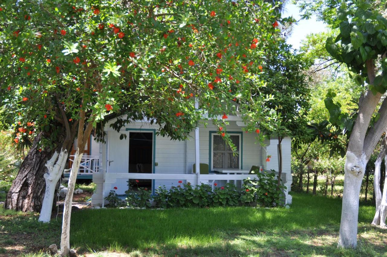 Bellerofon Beach Otel Çıralı Eksteriør billede