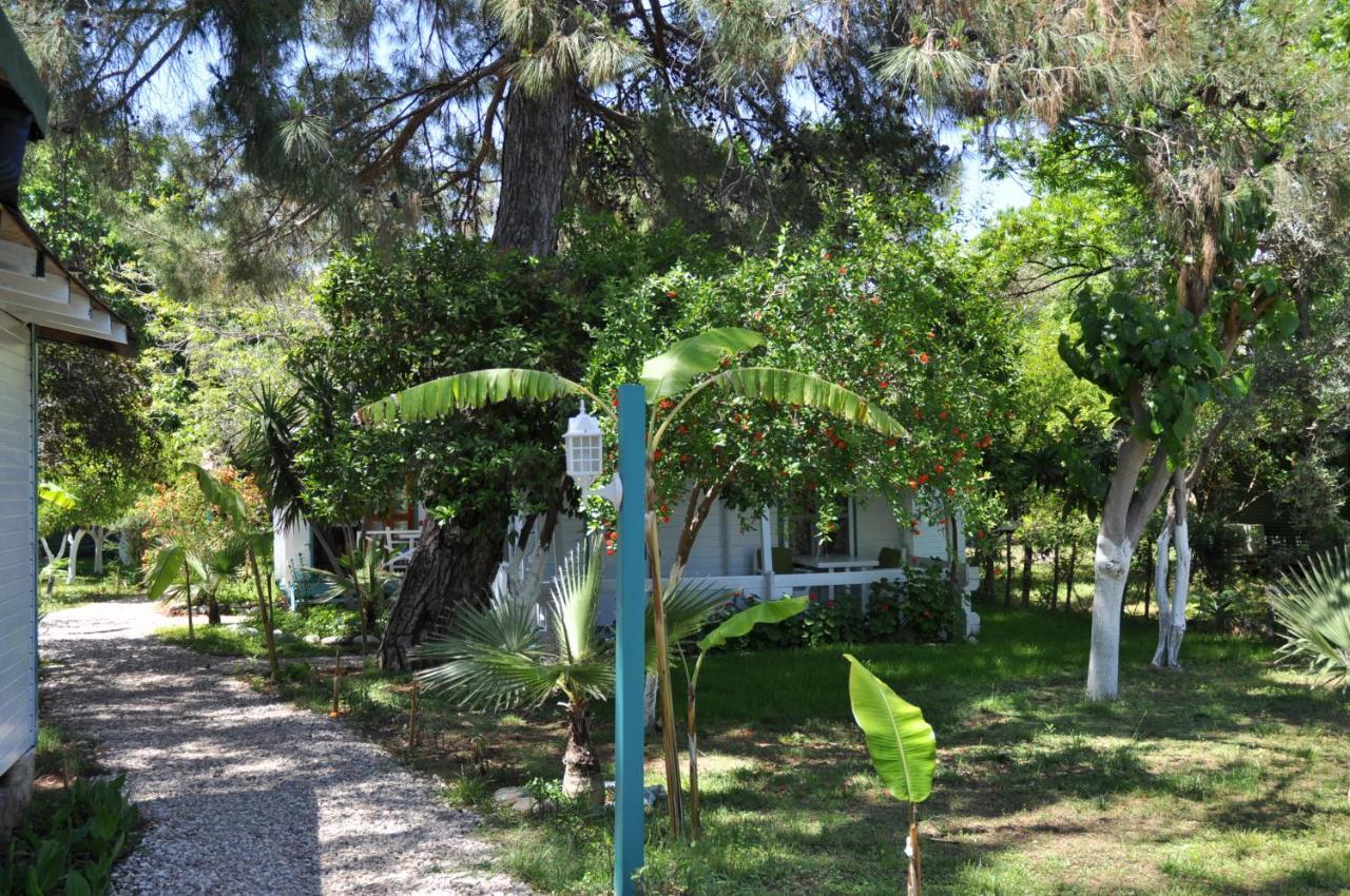 Bellerofon Beach Otel Çıralı Eksteriør billede