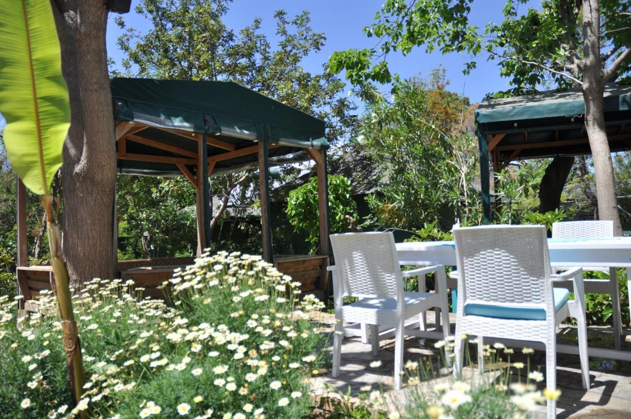 Bellerofon Beach Otel Çıralı Eksteriør billede