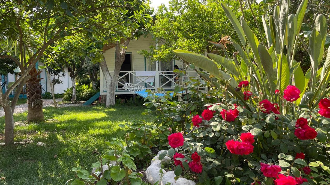 Bellerofon Beach Otel Çıralı Eksteriør billede