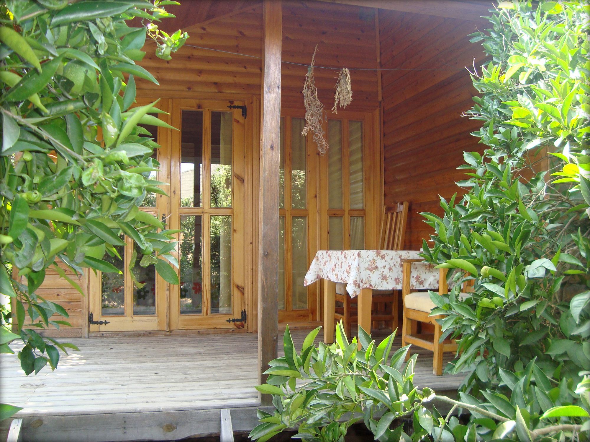 Bellerofon Beach Otel Çıralı Eksteriør billede